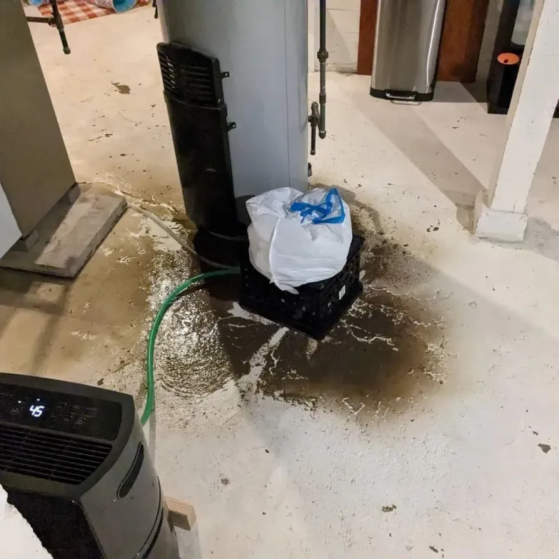 Sewage Backup Cleanup Service in Monroe City, MO